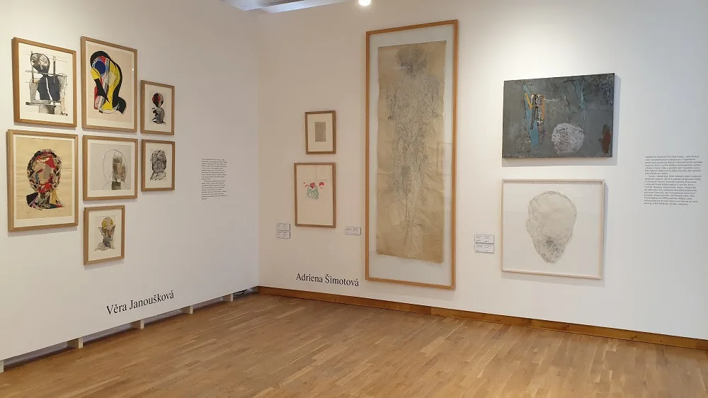 Minulé století - dvacet osobností, Věra Janoušková, Adriena Šimotová