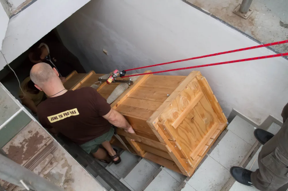 Převoz samice vzácného krokodýla štítnatého