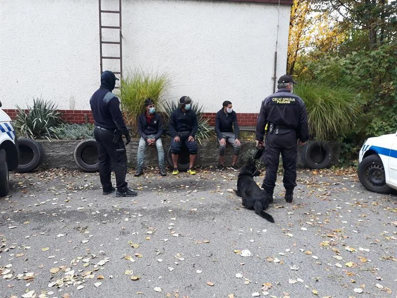 ilustrační foto