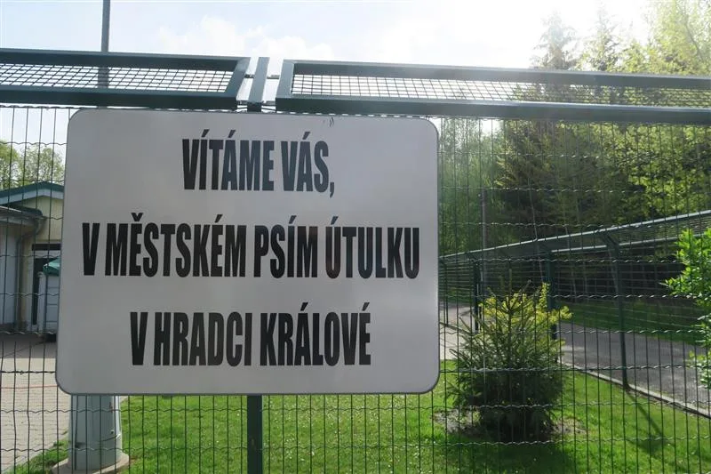 ilustrační foto