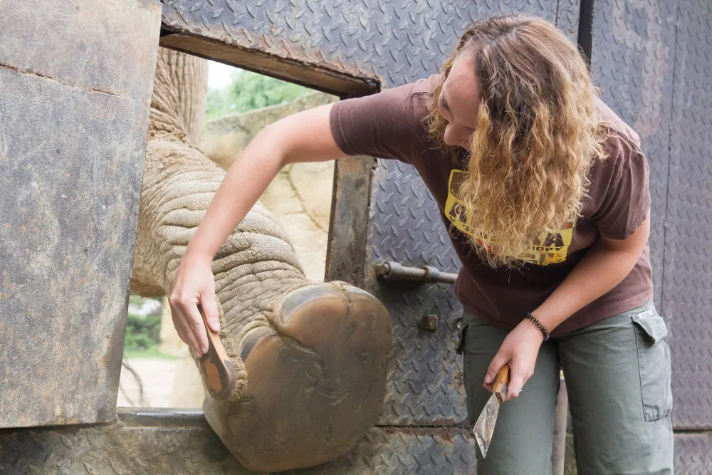 Safari Park během pandemie přišel o 30 milionů korun. I tak se letos narodilo 630 mláďat