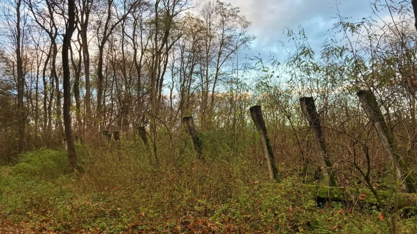 FOTO: U Hradce Králové jsou zbytky tajné nacistické továrny