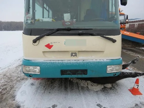 Na Trutnovsku do silnice vběhli koně. Způsobili nehodu dvou autobusů a dvou osobáků