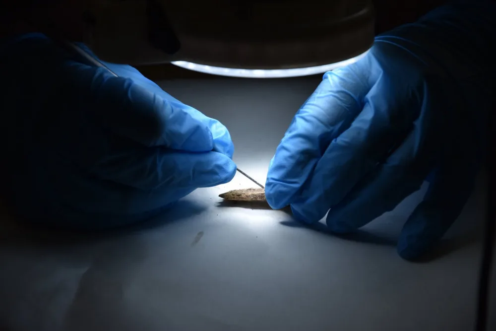 Archeologický unikát na Hradecku. Hrob ženy z 5. století nemá v republice obdoby