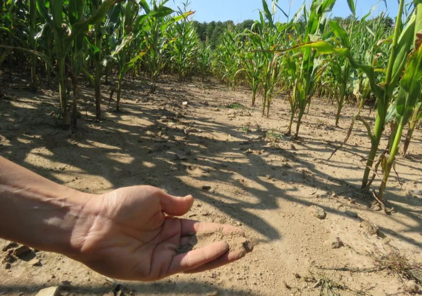 Broumovsko chce bojovat s klimatickými změnami