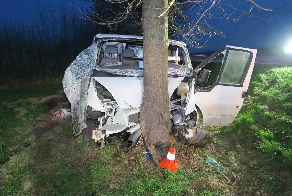 Řidič u Doudleb čelně narazil do stromu, na místě zasahoval i vrtulník