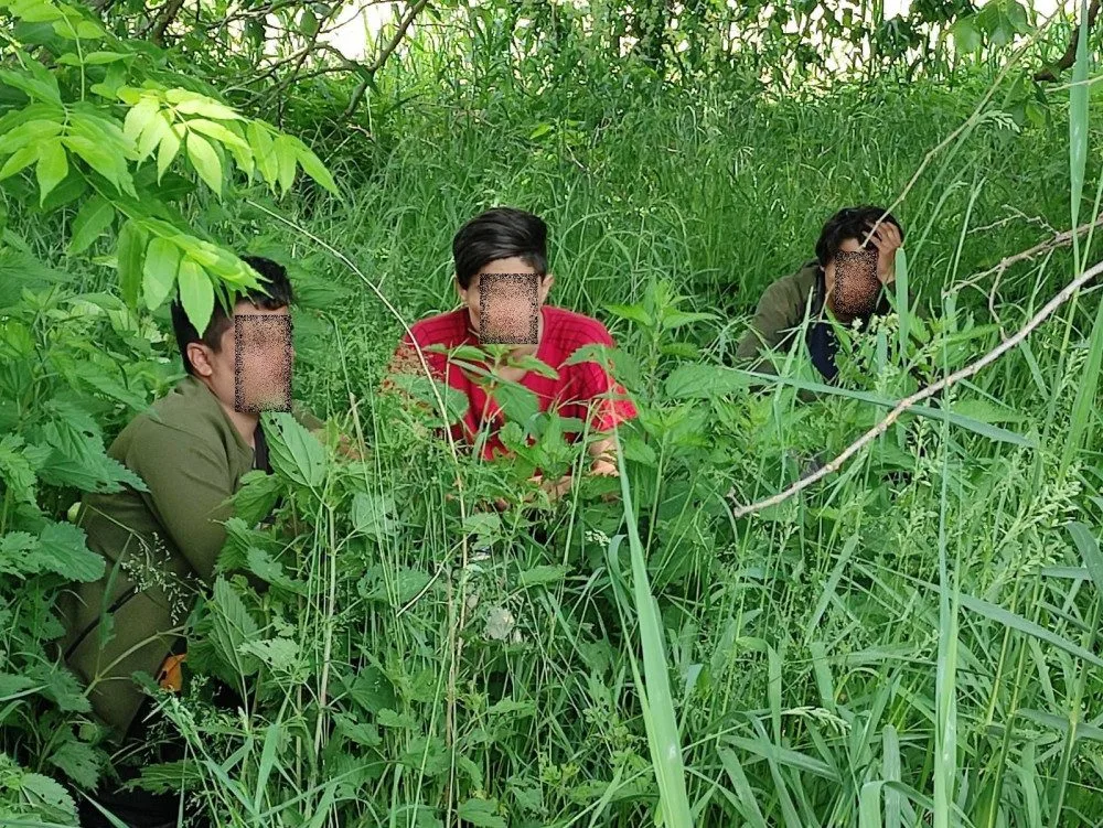 Parta migrantů na Hradecku vyskákala z kamionu a dala se na útěk. Před policií se schovala v poli a křoví