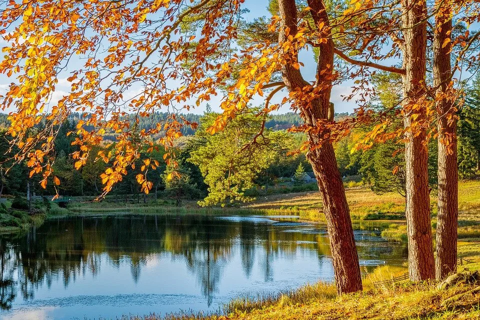 ilustrační foto