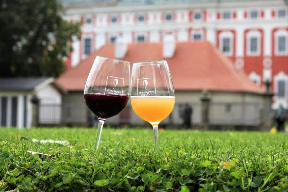 Kam o víkendu? Sobota bude ve znamení dobrého jídla a pití, koná se Food festival, Burčákobraní a Dožínky