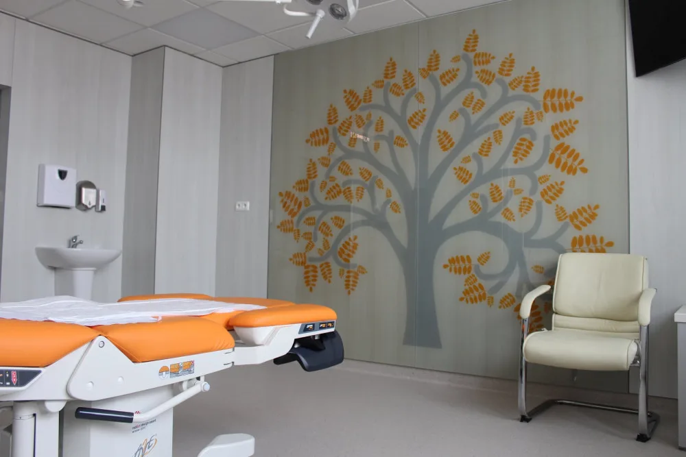 Rekonstrukce pavilonu rychnovské nemocnice vyšla na 60 milionů. Nové jsou i porodní boxy