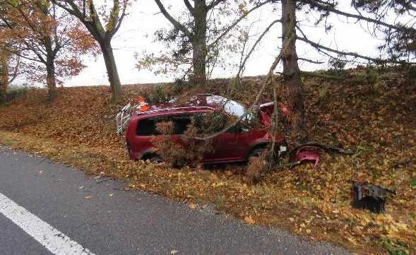 Dva mladíci se opili a pak sedli za volant. Oslava narozenin skončila nárazem do stromu
