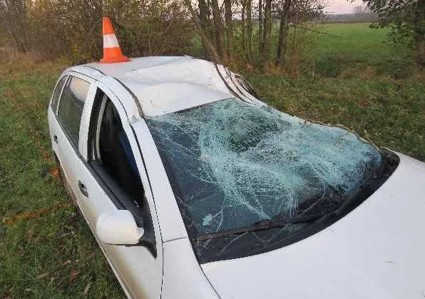 Dva mladíci se opili a pak sedli za volant. Oslava narozenin skončila nárazem do stromu