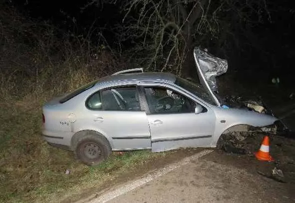 Devatenáctiletý mladík narazil se svým autem do stromu. Tachometr se zasekl na stodvacítce
