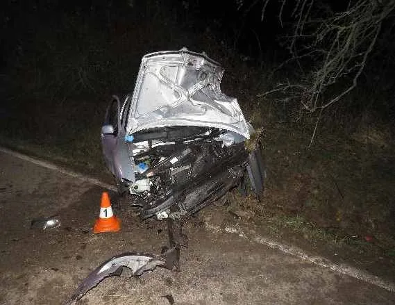 Devatenáctiletý mladík narazil se svým autem do stromu. Tachometr se zasekl na stodvacítce