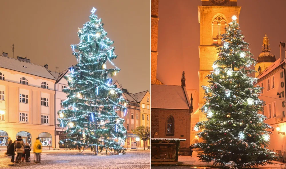 ANKETA: Je hezčí strom na Velkém nebo Masarykově náměstí?