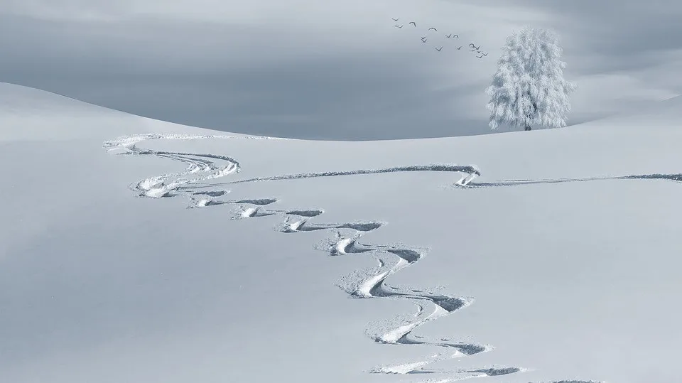 ilustrační foto