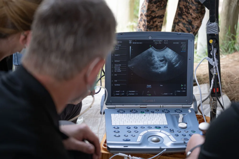 Vědcům ze Safari Parku a jich kolegům se podařilo vytvořit dvě nová embrya nosorožce bílého severního