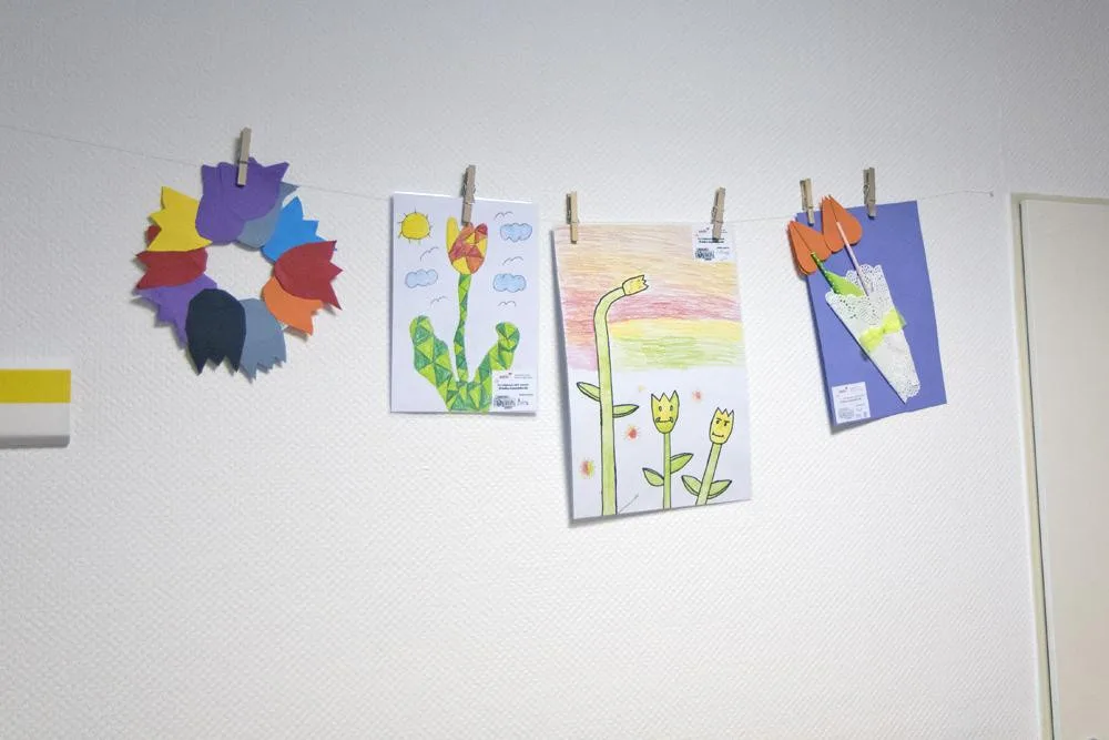Hradeckou nemocnici zaplavilo několik stovek obrázků tulipánů. Školáci tak podporují onkologicky nemocné