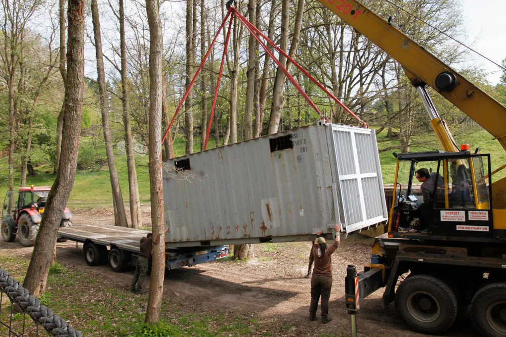 Safari Park Dvůr Králové vypustil do venkovní expozice stádo sedmi hrochů