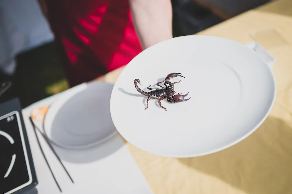 Prima FRESH festival nabídne Oscarové delikatesy a živé koncerty