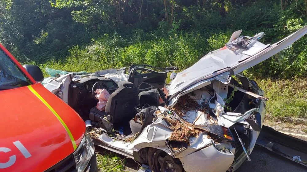KRNAP nechá v místě tragického pádu smrku na auto vykácet možné rizikové stromy