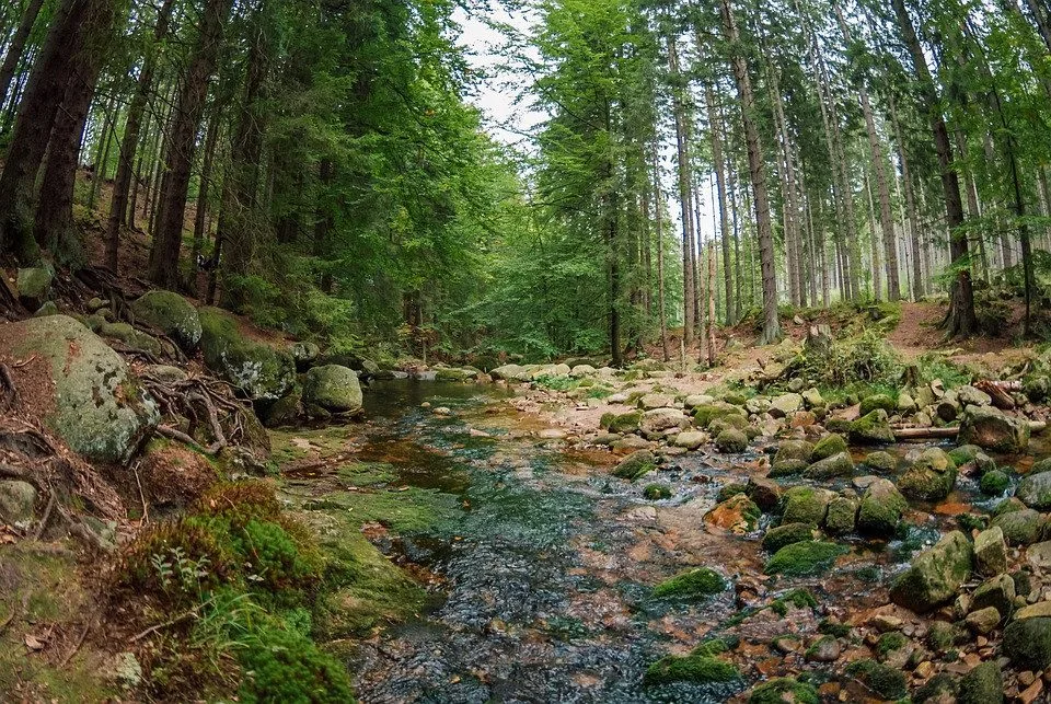 Se začínajícími prázdninami startuje turistická sezona v Krkonoších. Na turisty si posvítí strážci parku