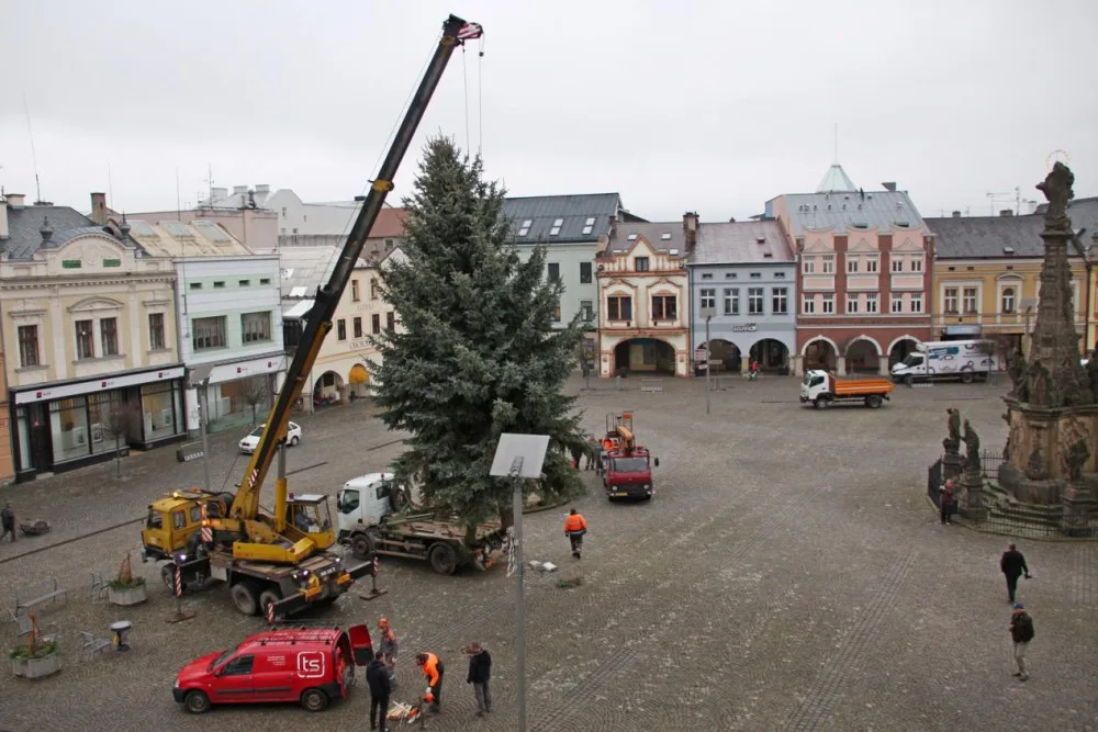 Dvůr Králové nad Labem hledá vánoční strom na náměstí T. G. Masaryka