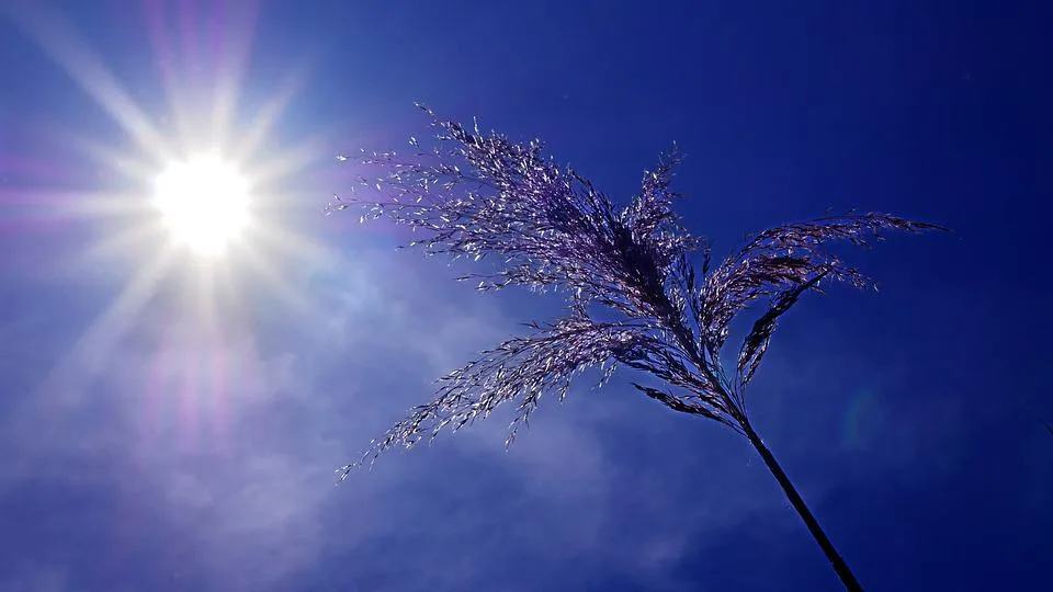Meteorologové vydávají varování před vysokými teplotami. Vystoupají ke 34 stupňům