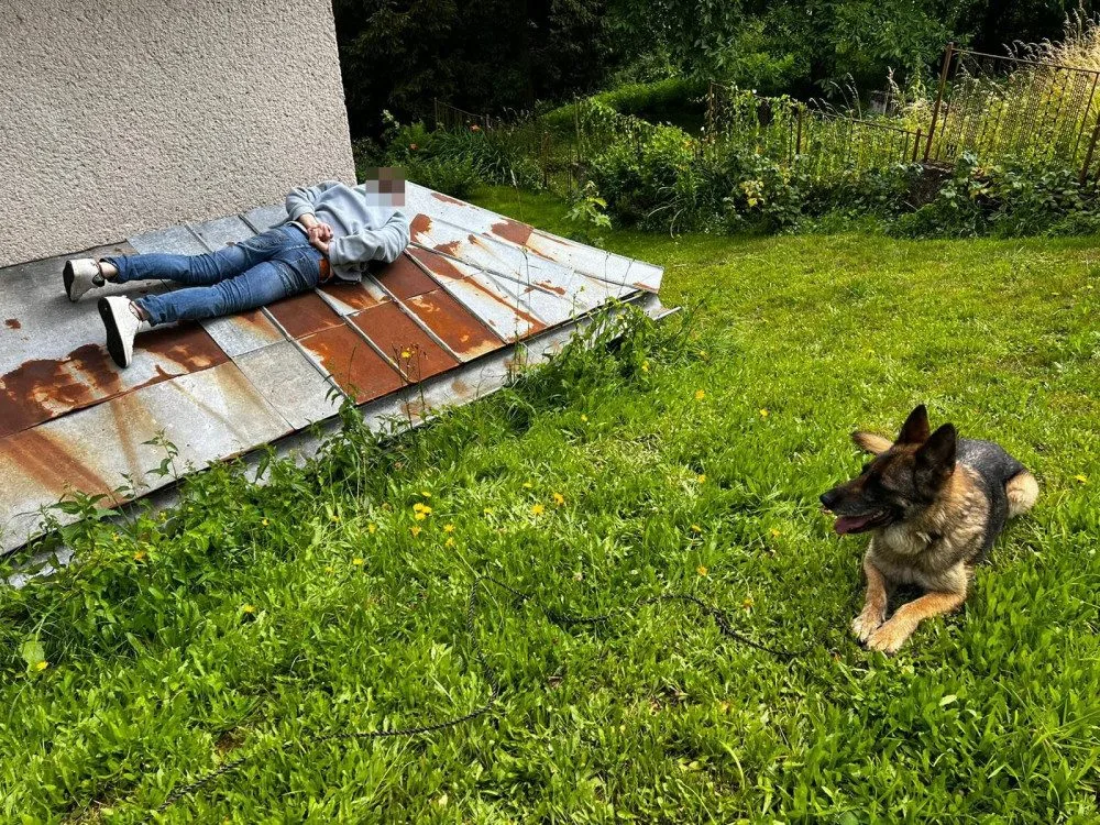 Vykradač chatek se chtěl schovat na střeše. Policejní fena Dora ho z ní sundala