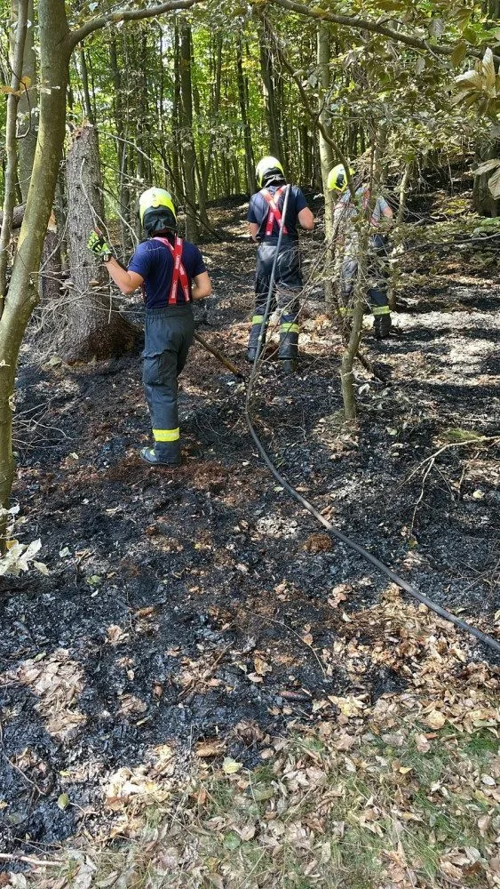 V Českém Švýcarsku pomáhají i dobrovolní hasiči z Hradce Králové. Denně naběhají 14 kilometrů