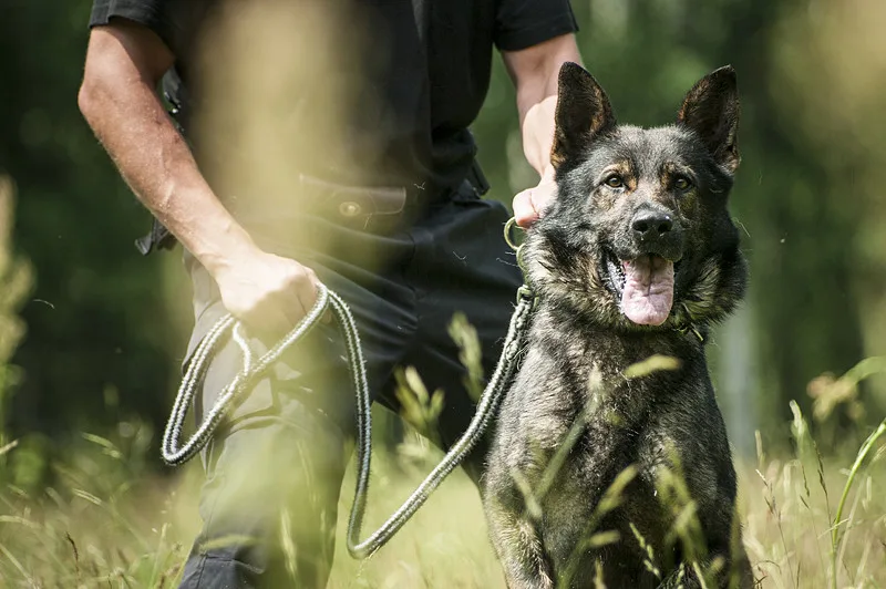 Jsme policie. Práce 158 krát jinak