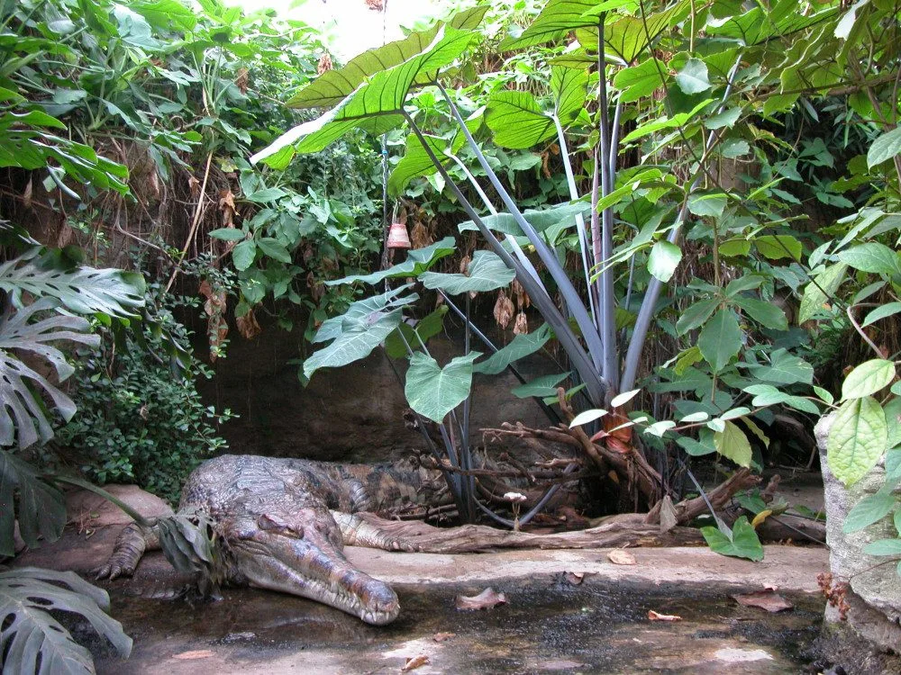 zoo