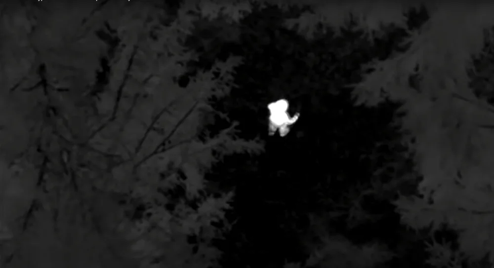 Tříletý chlapec se ztratil při procházce v lese. Policie ho našla pomocí termovize a vrtulníku.