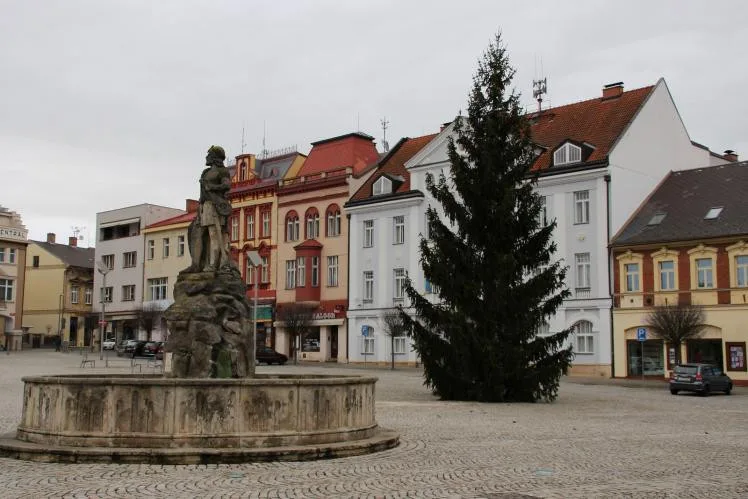 Vánoční strom ve Dvoře Králové nad Labem