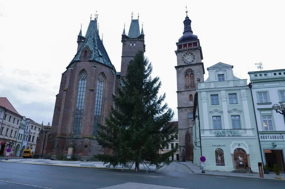 Vánoční strom na Velkém náměstí v Hradci Králové