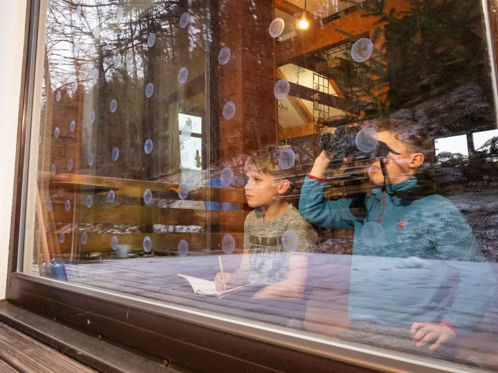 Ptačí hodinka láká stále více zájemců, zapojte se do sčítání opeřenců