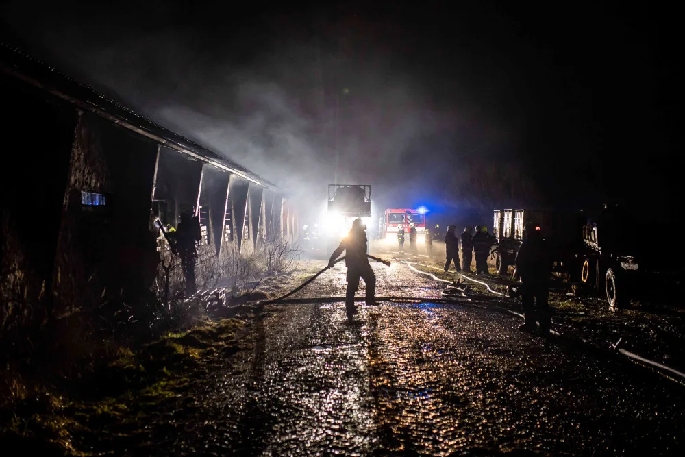 Na Trutnovsku zachvátil požár stáje. Uhynulo asi 150 krav