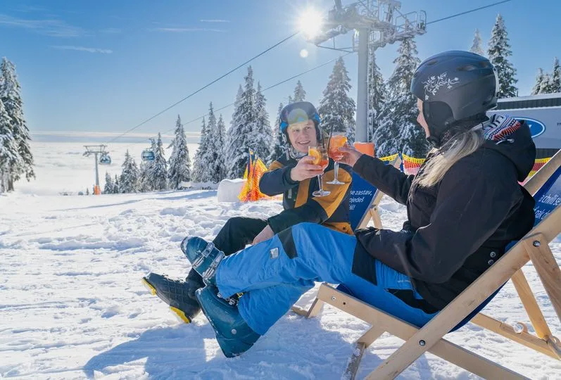 ski