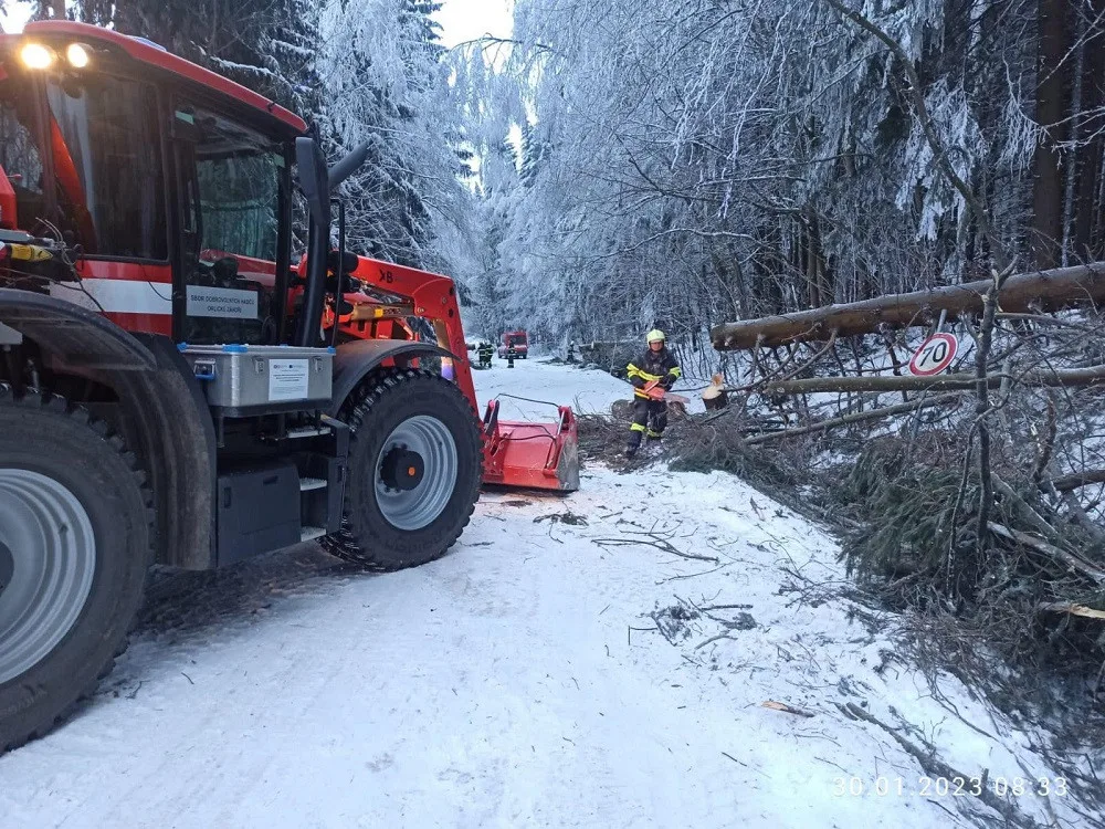 Popadané stromy mezi Šerlichem a Orlickým Záhořím