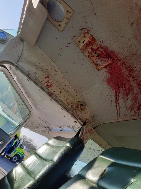 FOTO: Na hradeckém letišti nouzově přistál letoun po střetu s orlem. Žák se lehce zranil