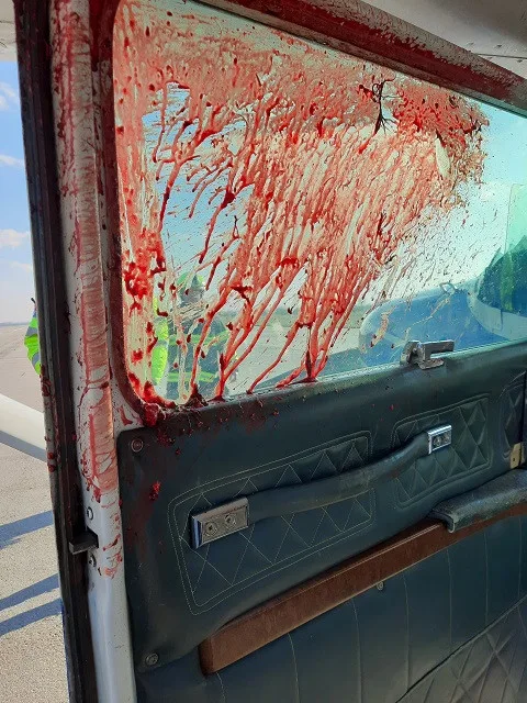 FOTO: Na hradeckém letišti nouzově přistál letoun po střetu s orlem. Žák se lehce zranil