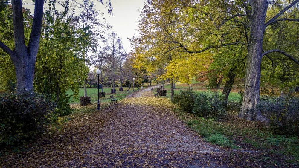 Dvůr Králové chce revitalizovat park Schulzovy sady. Jeho novou podobu mohou ovlivnit místní.