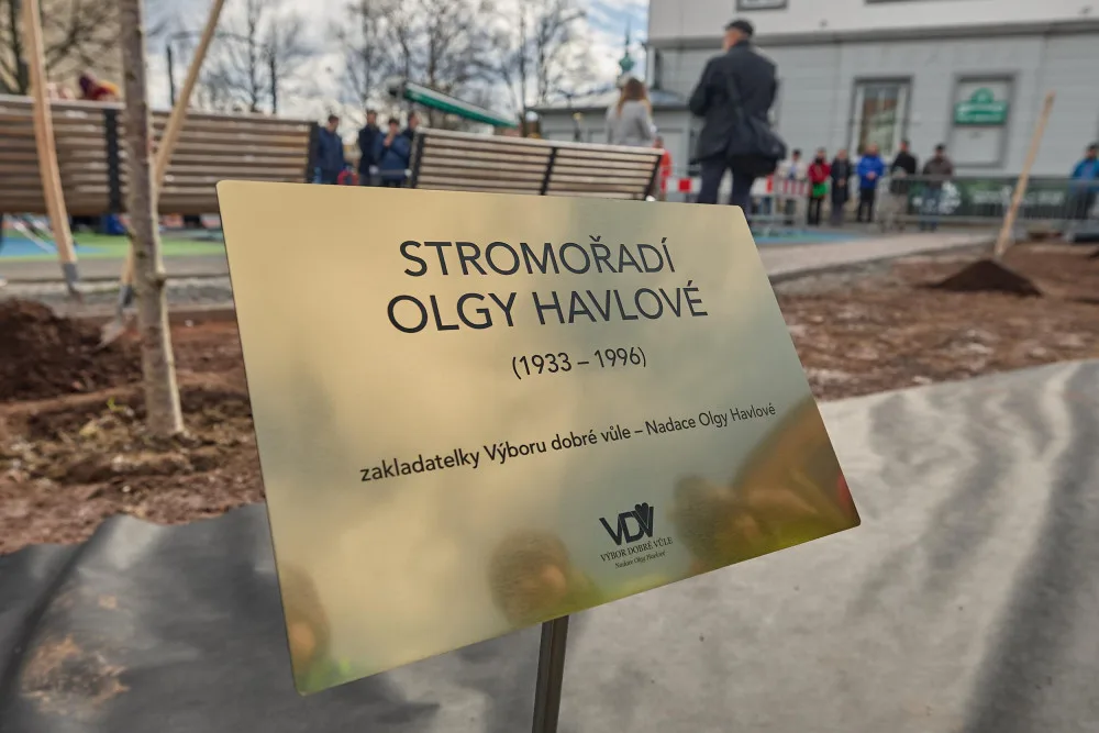 V Trutnově vysadili pět sakur na památku Olgy Havlové. Letos by se dožila 90 let