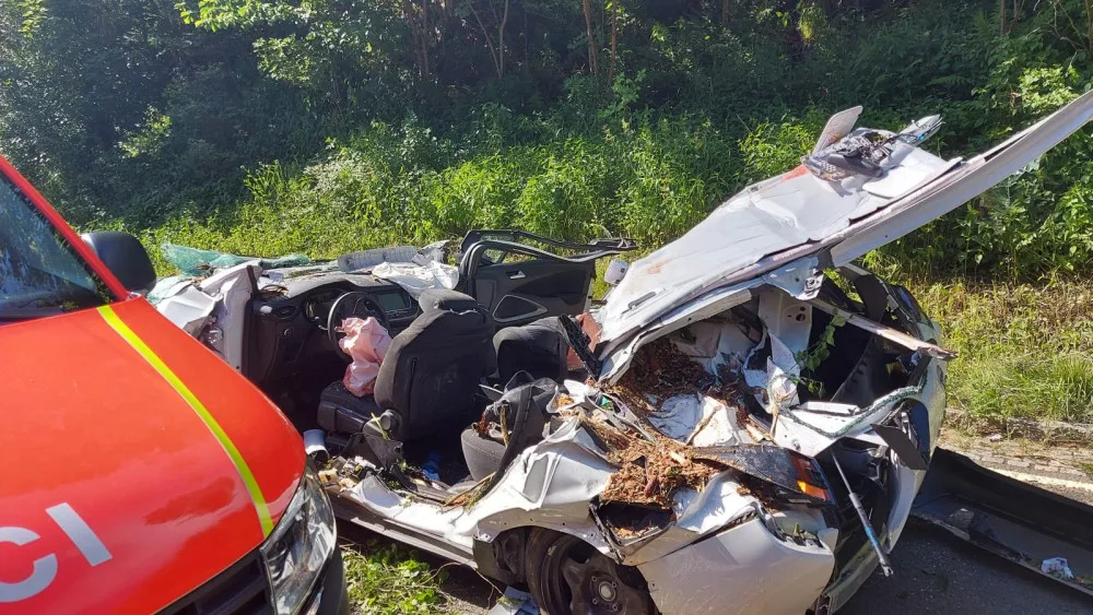 Policie odložila případ pádu stromu na osobní auto u Horního Maršova. Při nehodě zemřeli tři lidé