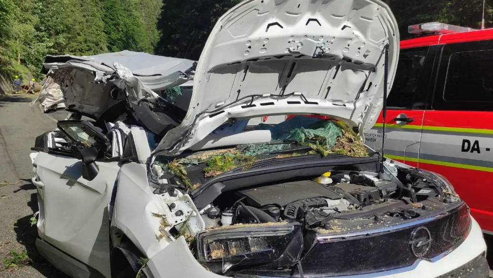 Policie odložila případ pádu stromu na osobní auto u Horního Maršova. Při nehodě zemřeli tři lidé
