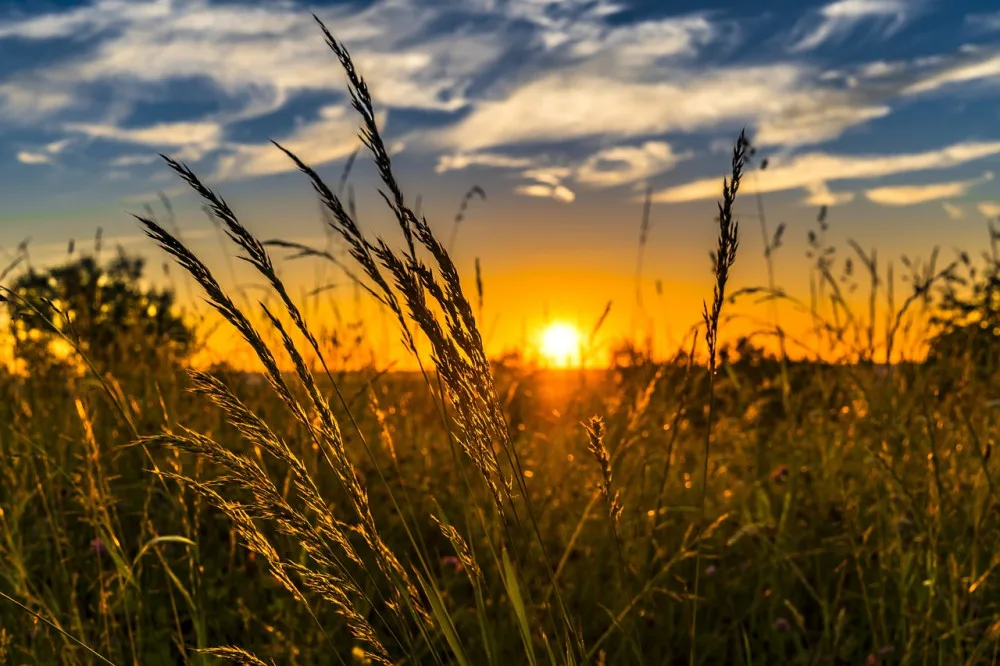O víkendu naměříme až 23 stupňů. Volné dny si užijeme bez deště