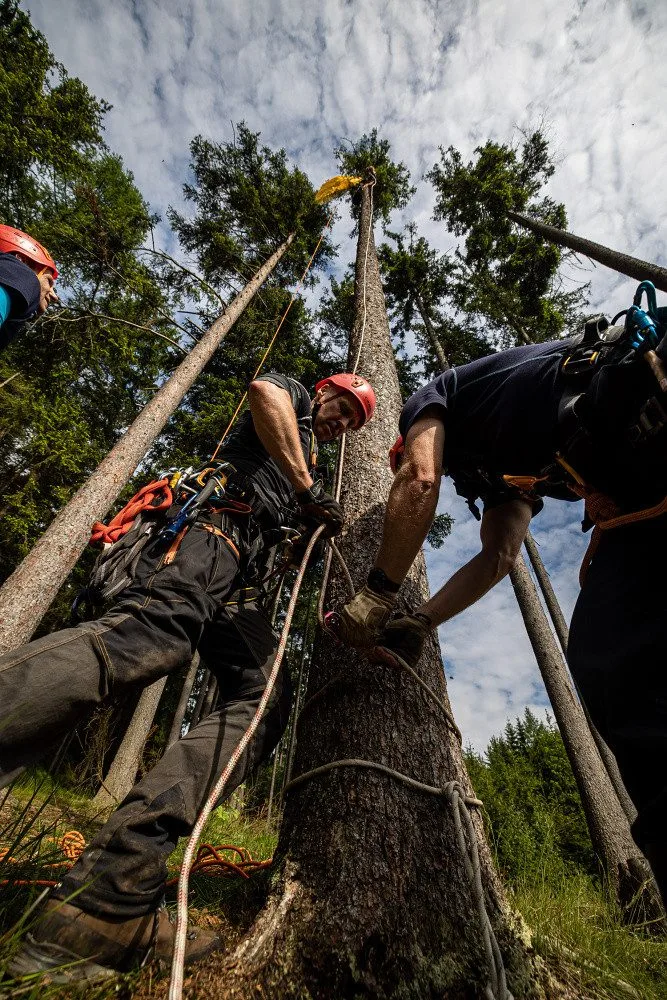 Hasiči z Královéhradeckého kraje si dali do těla, náročné cvičení prověřilo jejich připravenost