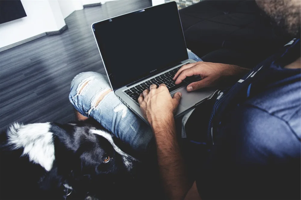 Podvodníci na internetu nabízeli štěňata retrívrů. Šlo o promyšlený podvod.