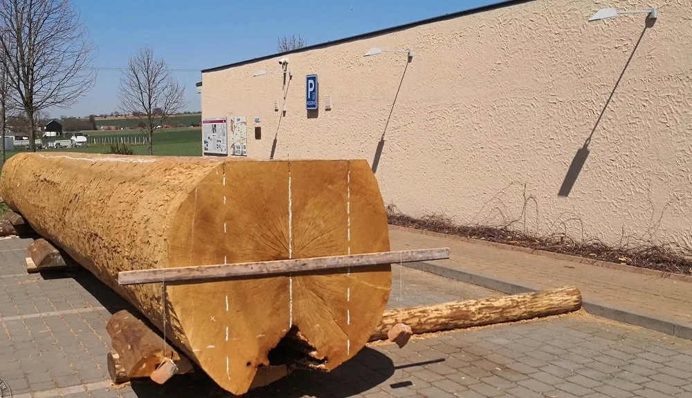 budoucí dno monoxylu