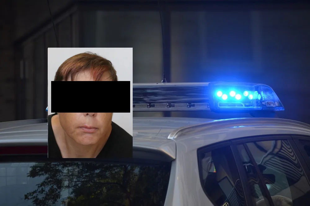 Od čtvrtka pohřešovaná mentálně postižená žena z Hradecka nelezena v lese